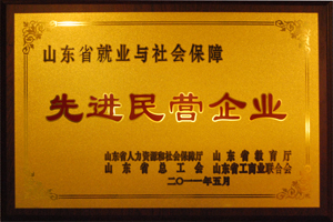 山东省就业与劳动保障先进企业.jpg